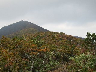南丈競山への紅葉（山頂に避難小屋が見える）   
