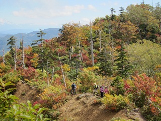 野谷荘司山への稜線の紅葉