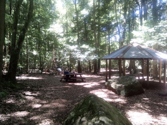 ルーラフォレスト（Leura Forest）ピクニックサイト