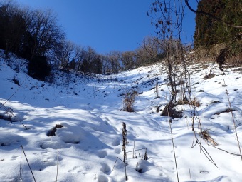 大雪には雪崩れると思われる斜面。登山道は左縁を歩く。