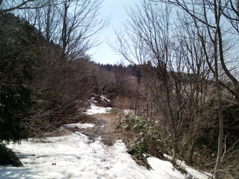 林道は２ヶ所で雪が切れていました