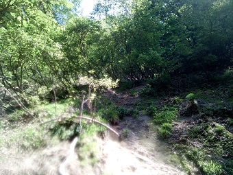 稜線まで数10m<br>
右側は岩盤でツルツルっぽいので左の立木から上へ