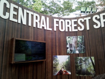 「私たちの森」展<br>
Journey Through Our Rainforest exhibition