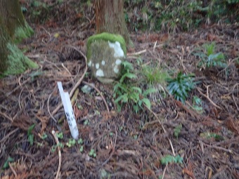 林道二俣の石碑