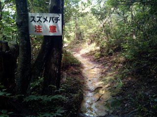 愛岐県境上につけられた登山道（東海自然歩道）を歩く