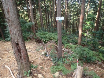 標高420m。林道から下の登山道下り口。